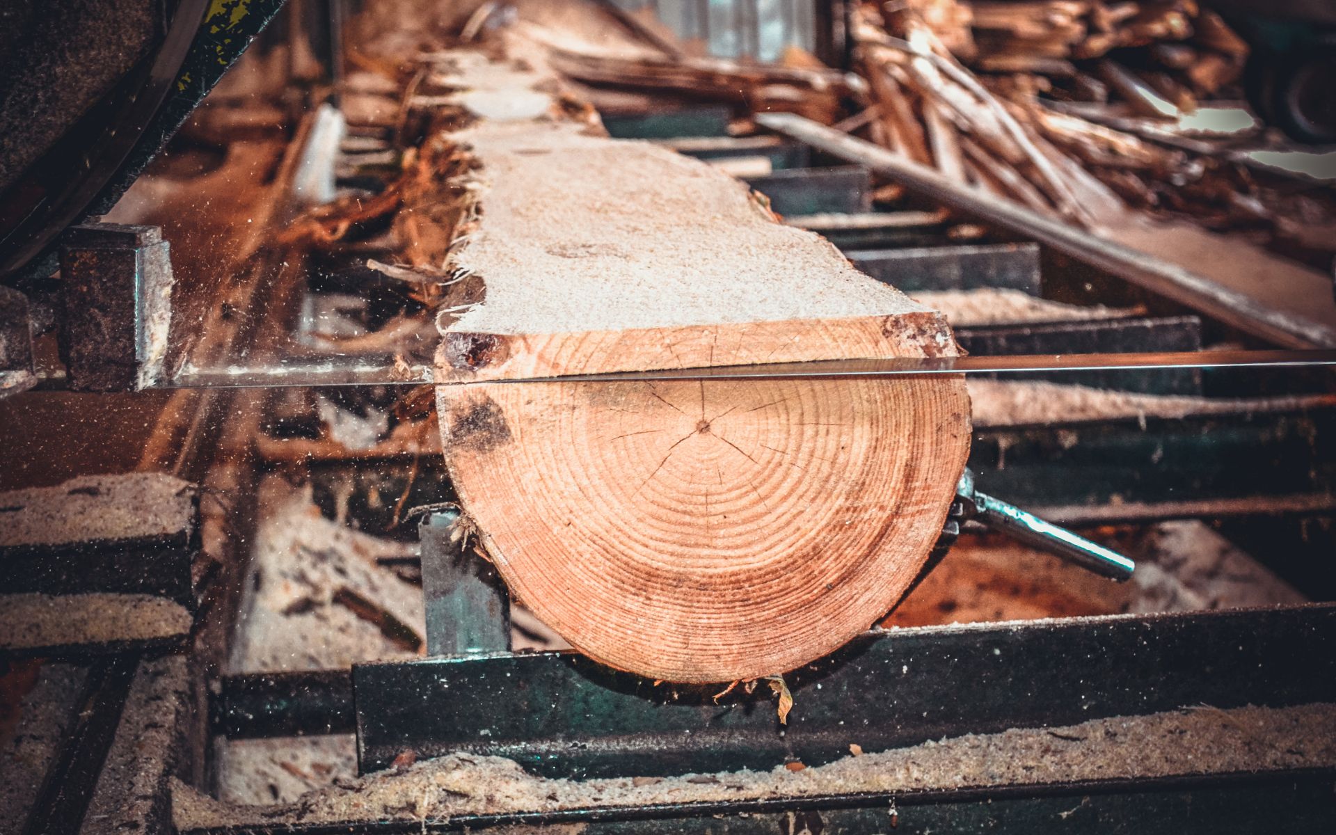 sawmill lumber cutting